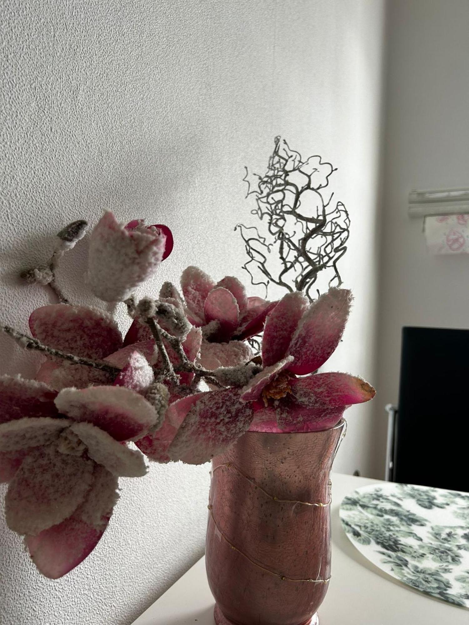 Gemuetliche Ferienwohnung-Appartement Bad Oeynhausen Exteriör bild